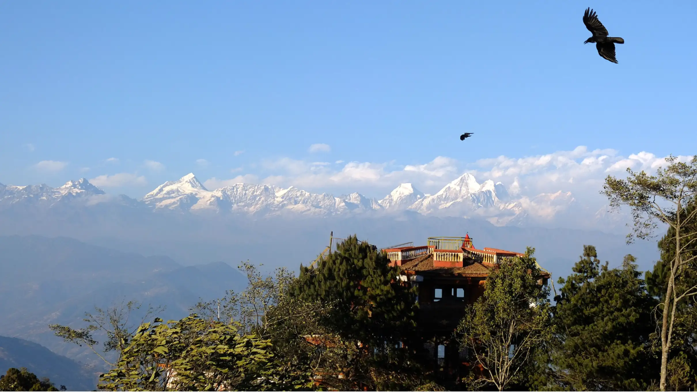 Eagle soaring above Nagarkot ridge with Himalayan mountain backdrop, Nepal