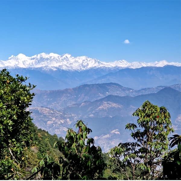 Pine and rhododendron forest trail ascending toward Champadevi Hill summit southwest of Kathmandu