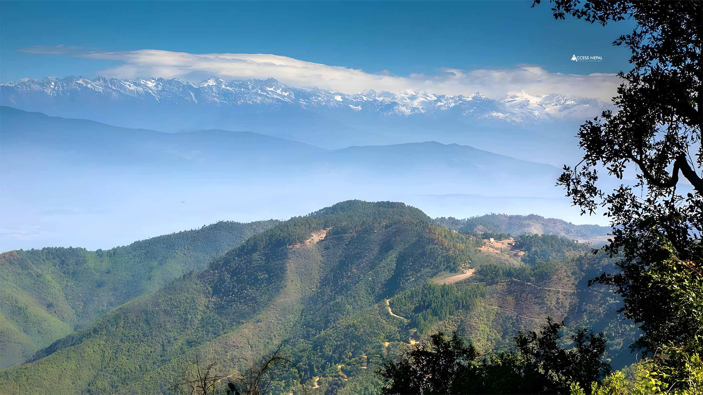 Forest trail ascending Phulchoki Hill, the highest point on the Kathmandu Valley rim