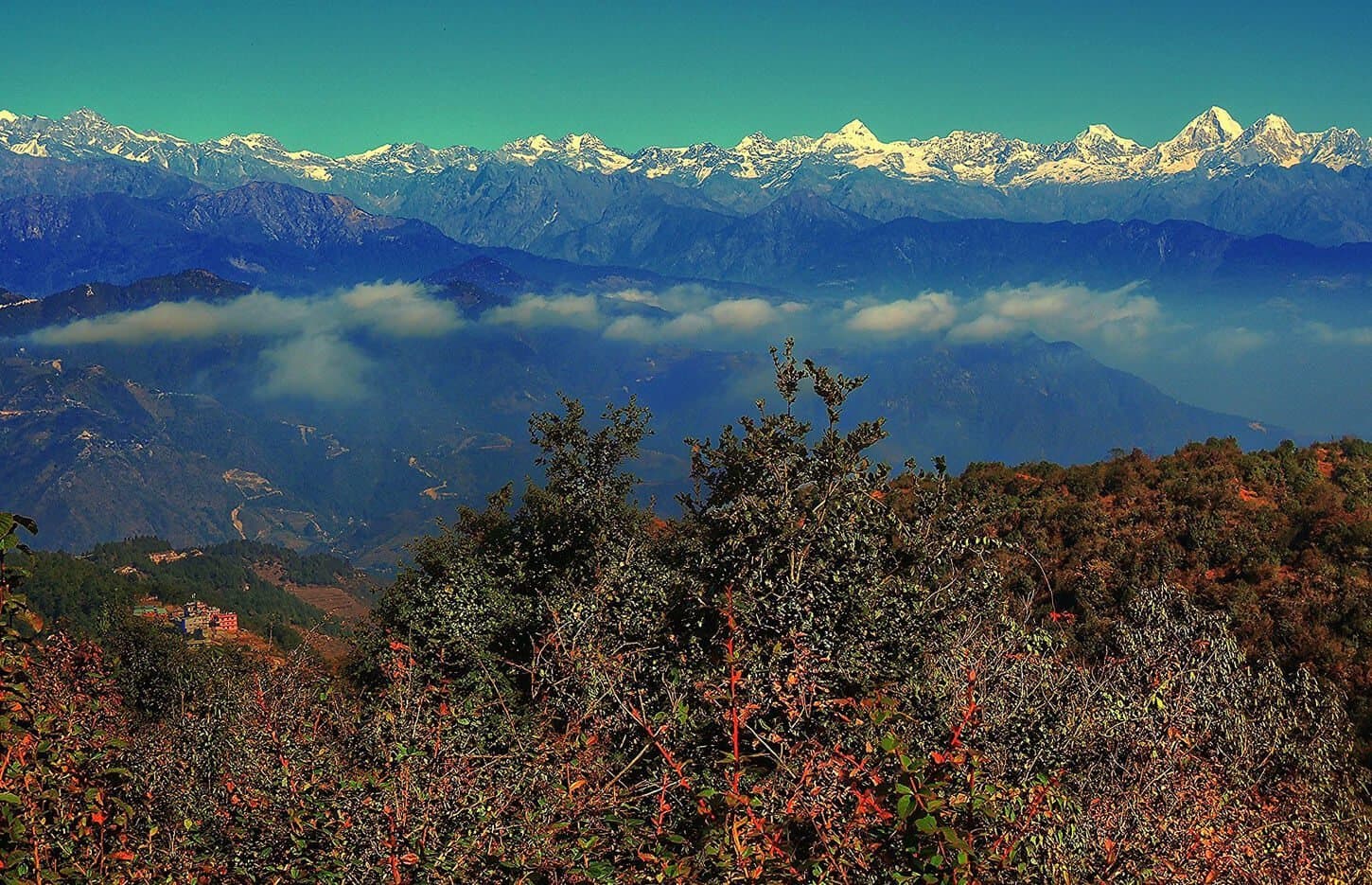 Day hike through forest toward Shivapuri Peak via Budhanilkantha