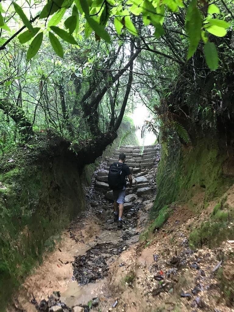 Hikers on a forest trail in the Nagarkot hills