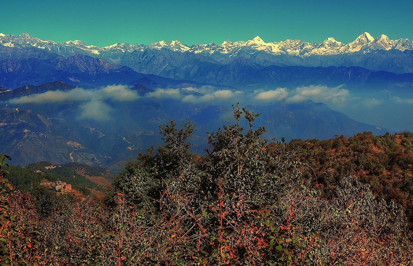 Forest trail climbing through dense woodland toward Shivapuri Peak near Kathmandu